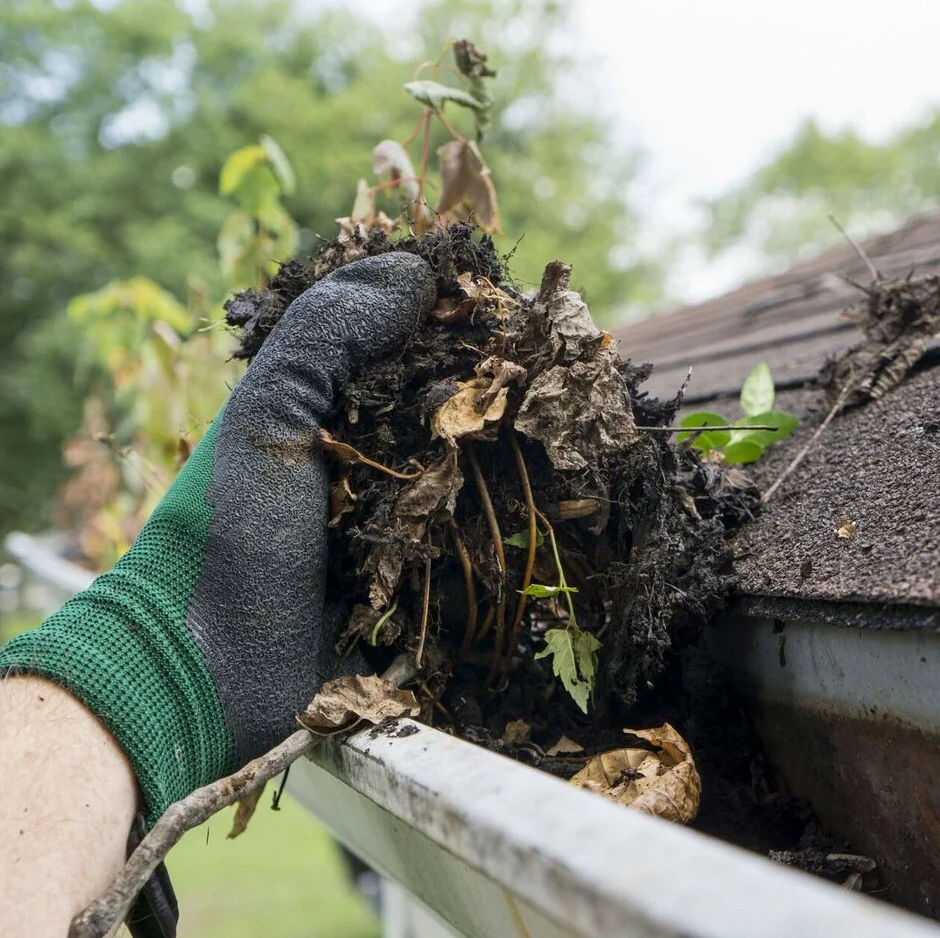 Gutter Cleaning service in Baton Rouge, LA