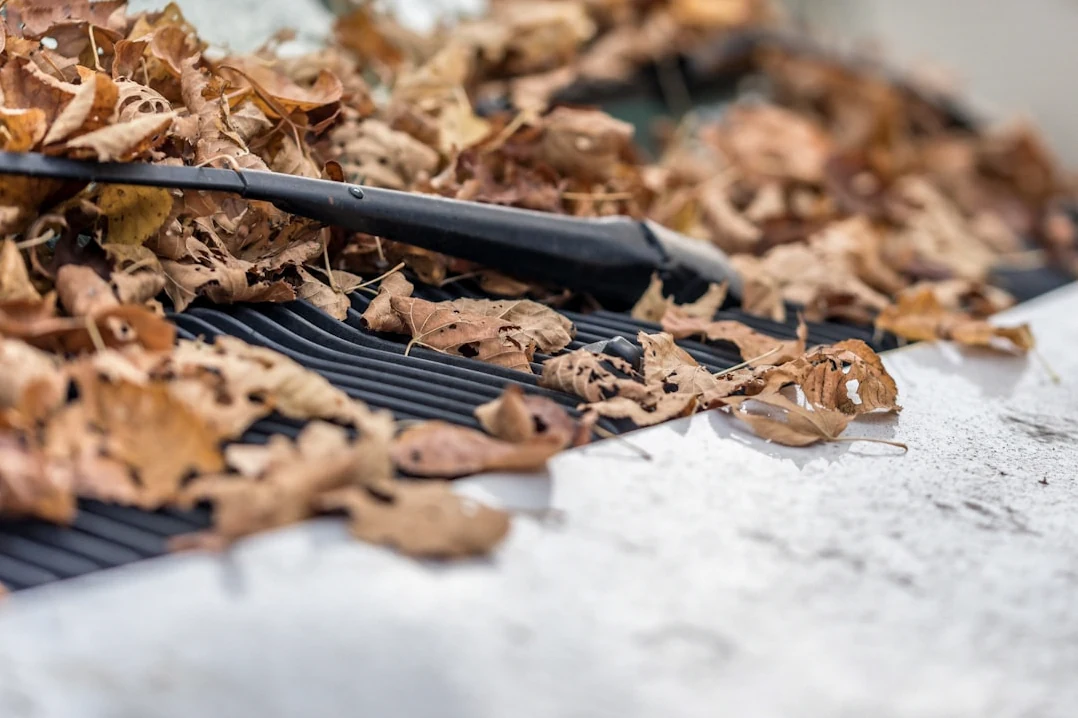 Gutter Cleaning & Debris Removal in Baton Rouge, LA